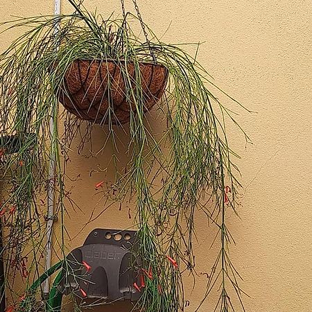 Appartement I Nuraghi II à Cagliari Extérieur photo