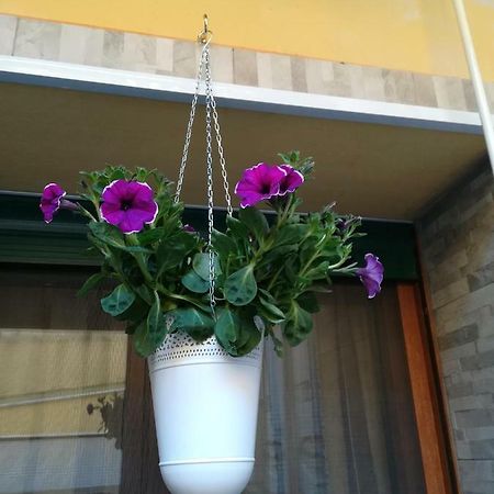Appartement I Nuraghi II à Cagliari Extérieur photo