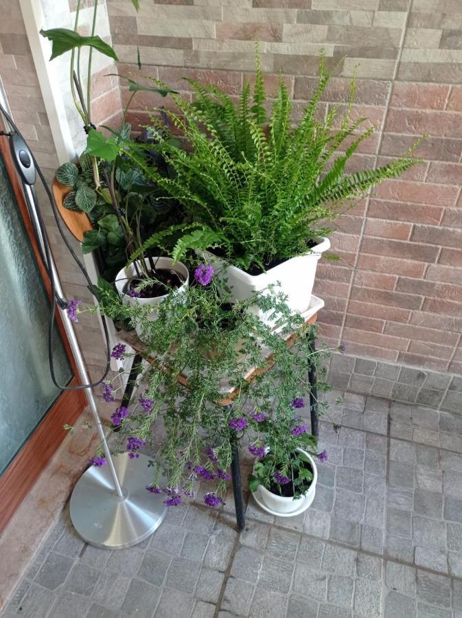 Appartement I Nuraghi II à Cagliari Extérieur photo