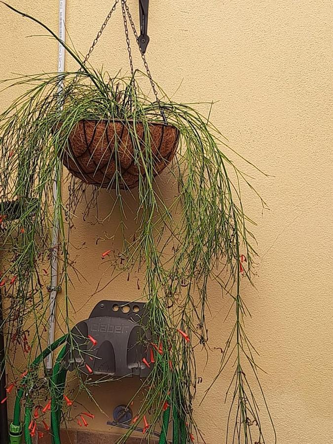 Appartement I Nuraghi II à Cagliari Extérieur photo